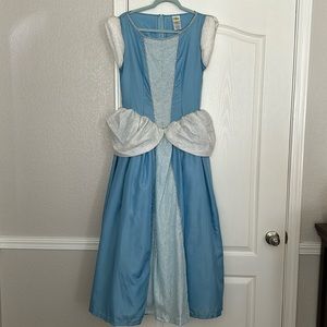 Cinderella costume